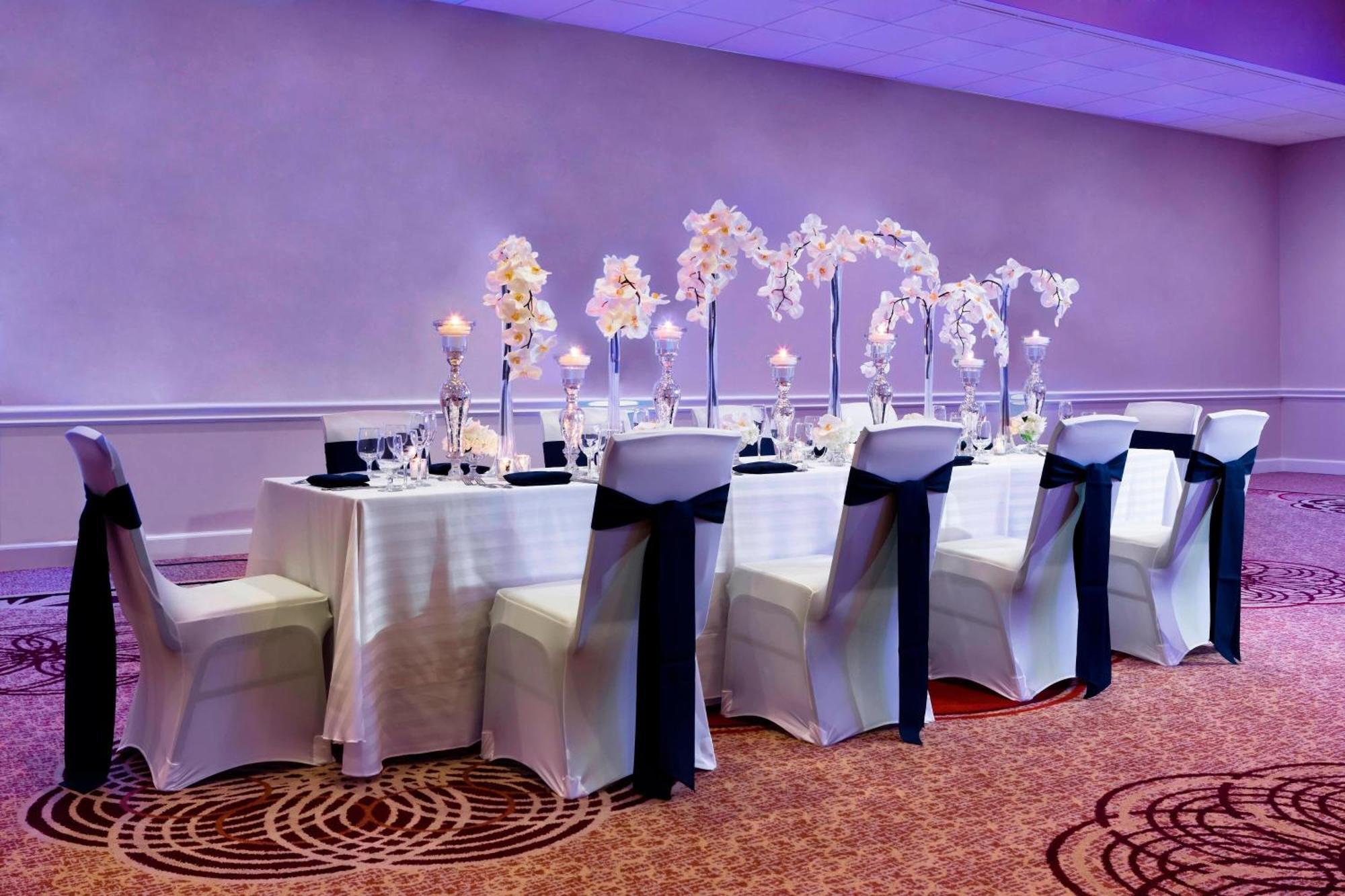 Sheraton Tampa Brandon Hotel Mango Luaran gambar