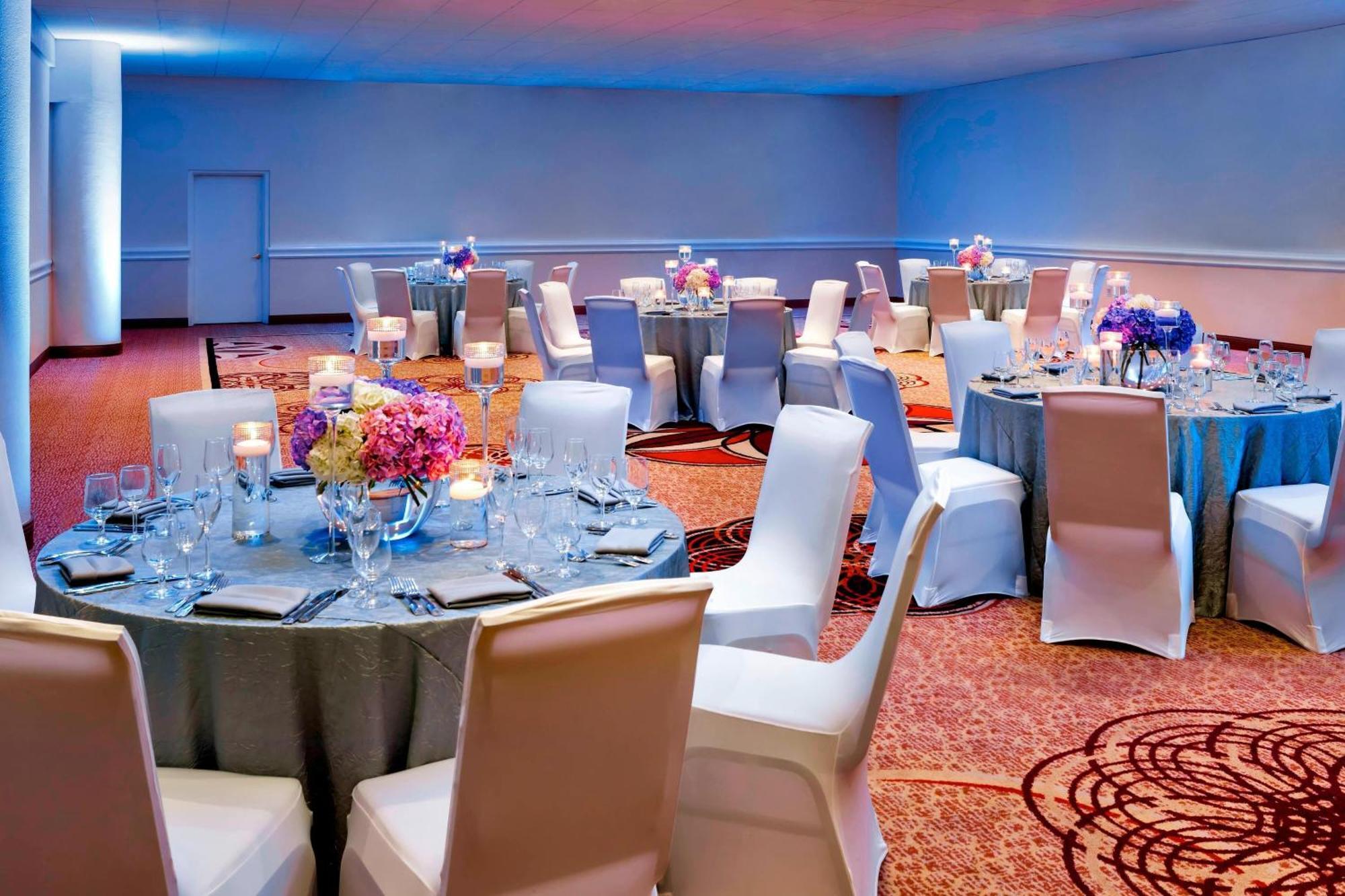 Sheraton Tampa Brandon Hotel Mango Luaran gambar