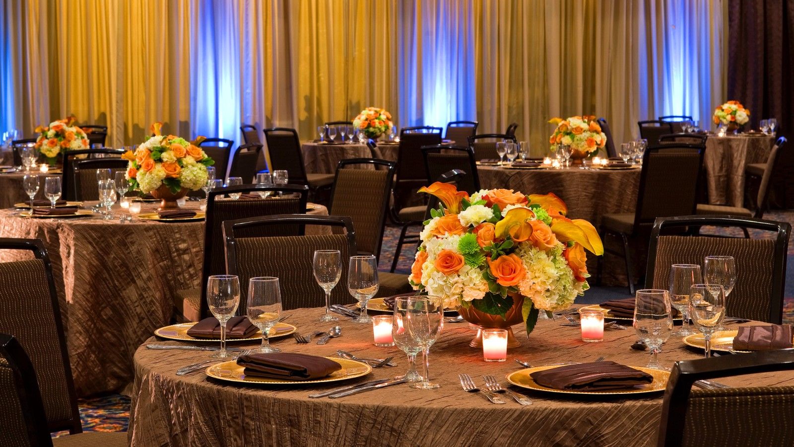 Sheraton Tampa Brandon Hotel Mango Perniagaan gambar